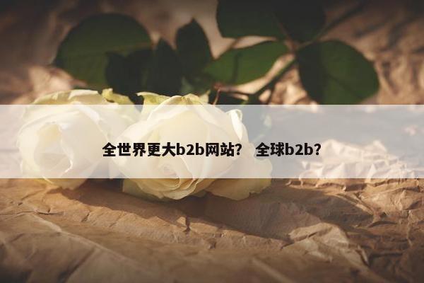 全世界更大b2b网站？ 全球b2b？