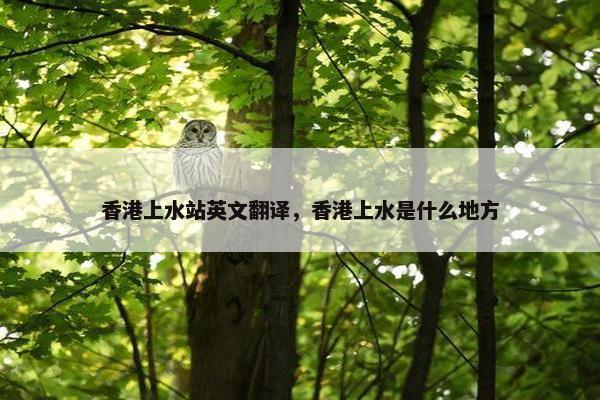 香港上水站英文翻译，香港上水是什么地方