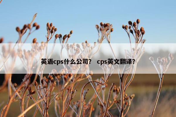 英语cps什么公司？ cps英文翻译？