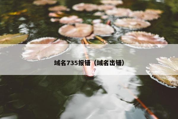 域名735报错（域名出错）