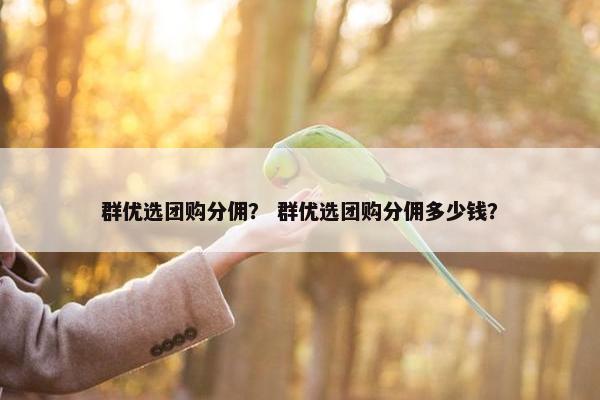 群优选团购分佣？ 群优选团购分佣多少钱？