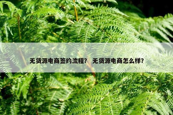 无货源电商签约流程？ 无货源电商怎么样？