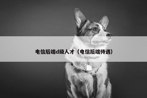 电信后端d级人才（电信后端待遇）