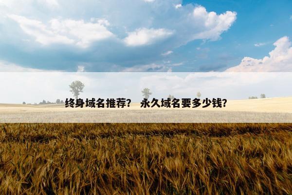 终身域名推荐？ 永久域名要多少钱？