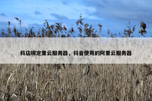 抖店绑定里云服务器，抖音使用的阿里云服务器