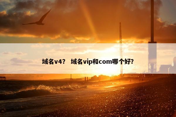 域名v4？ 域名vip和com哪个好？