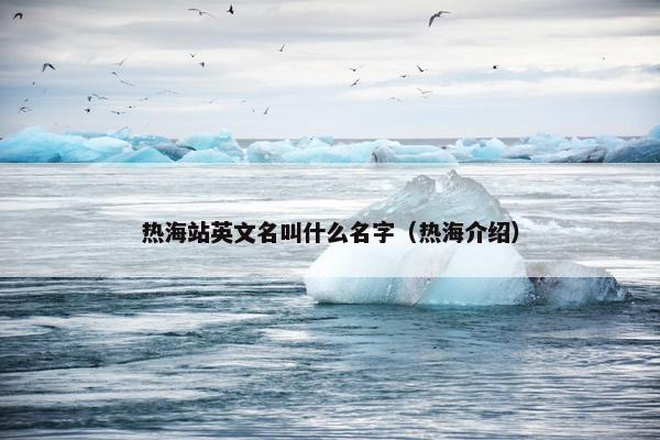 热海站英文名叫什么名字（热海介绍）