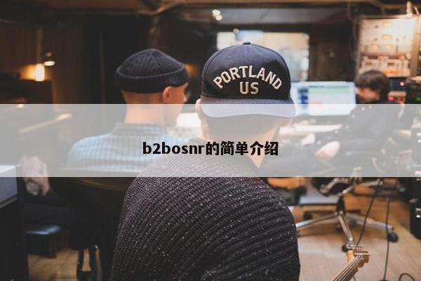 b2bosnr的简单介绍