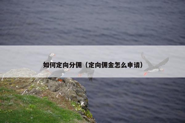 如何定向分佣（定向佣金怎么申请）