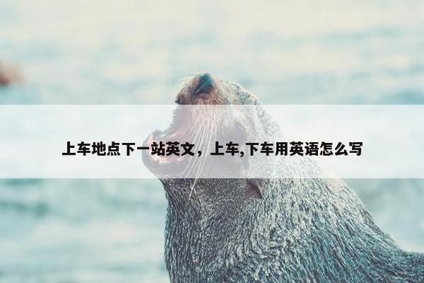 上车地点下一站英文，上车,下车用英语怎么写