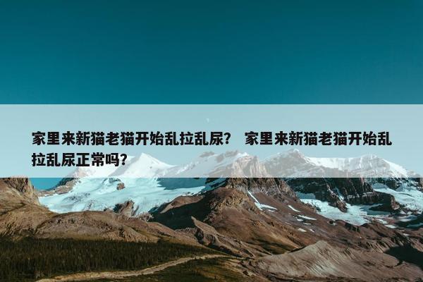 家里来新猫老猫开始乱拉乱尿？ 家里来新猫老猫开始乱拉乱尿正常吗？