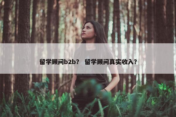 留学顾问b2b？ 留学顾问真实收入？