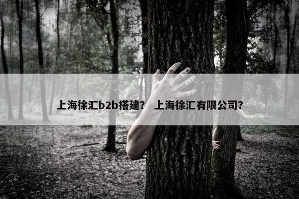 上海徐汇b2b搭建？ 上海徐汇有限公司？