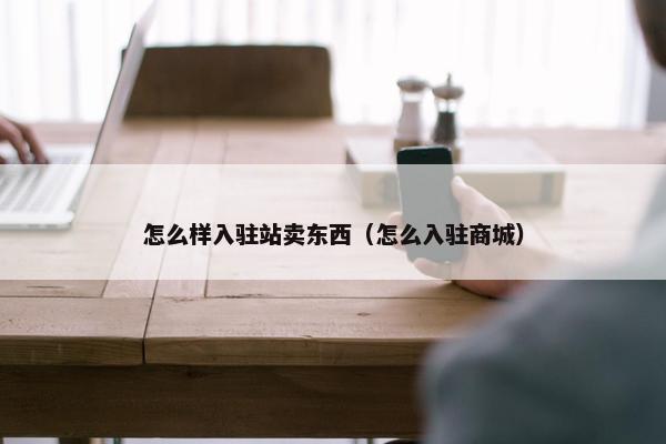 怎么样入驻站卖东西（怎么入驻商城）