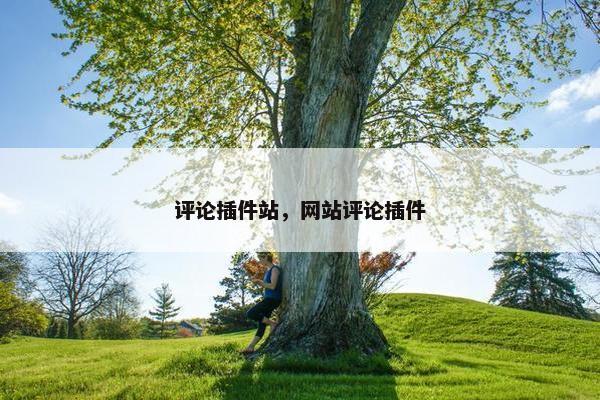 评论插件站，网站评论插件