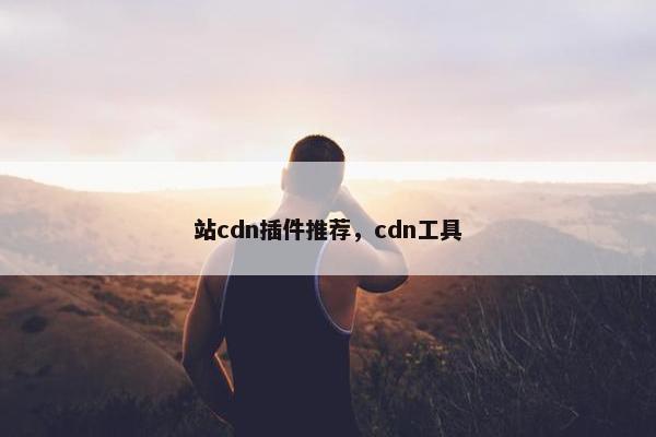 站cdn插件推荐，cdn工具