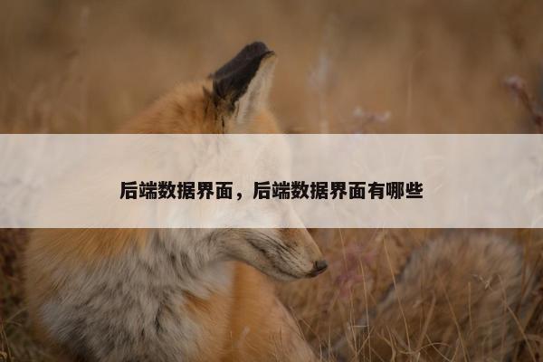 后端数据界面，后端数据界面有哪些