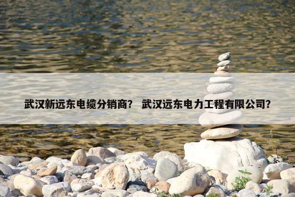 武汉新远东电缆分销商？ 武汉远东电力工程有限公司？