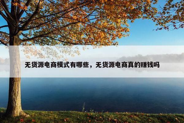 无货源电商模式有哪些，无货源电商真的赚钱吗