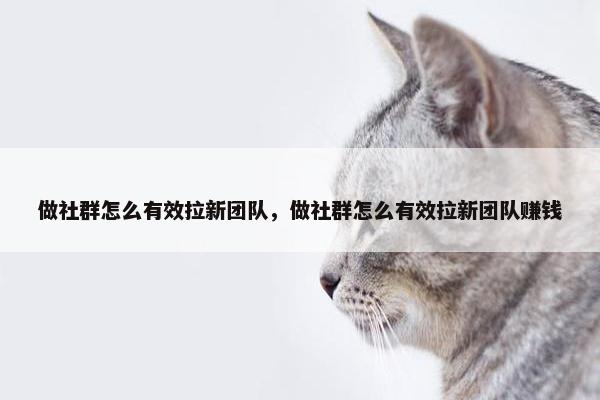 做社群怎么有效拉新团队，做社群怎么有效拉新团队赚钱
