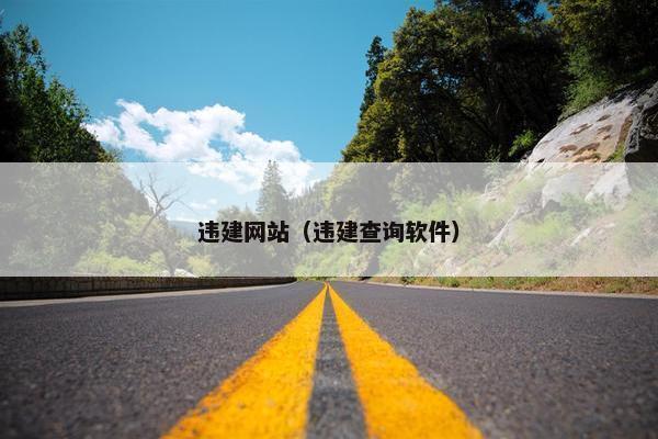 违建网站（违建查询软件）