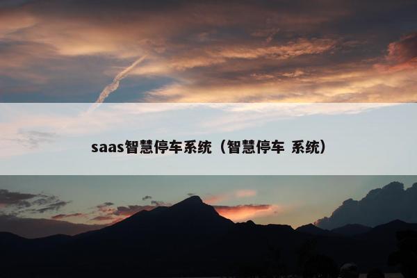 saas智慧停车系统（智慧停车 系统）