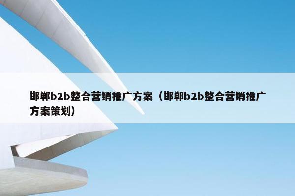 邯郸b2b整合营销推广方案（邯郸b2b整合营销推广方案策划）