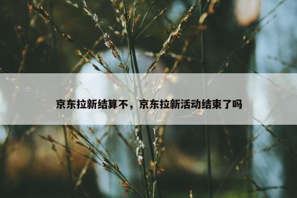 京东拉新结算不，京东拉新活动结束了吗