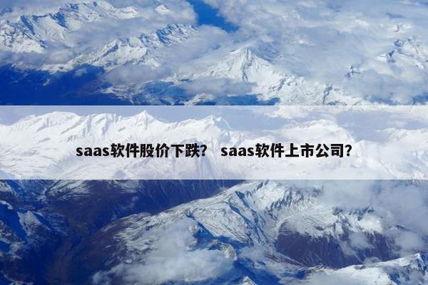 saas软件股价下跌？ saas软件上市公司？