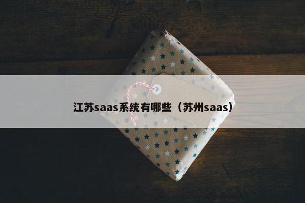 江苏saas系统有哪些（苏州saas）