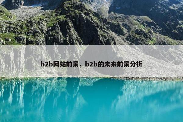 b2b网站前景，b2b的未来前景分析