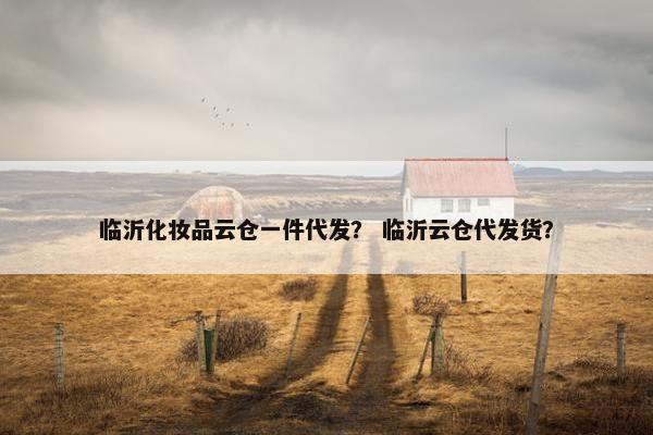 临沂化妆品云仓一件代发？ 临沂云仓代发货？