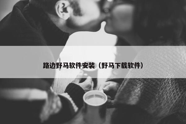 路边野马软件安装（野马下载软件）