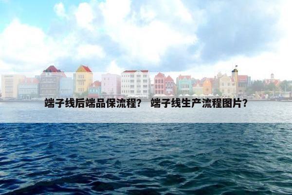 端子线后端品保流程？ 端子线生产流程图片？