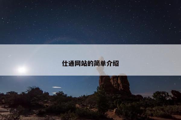 仕通网站的简单介绍