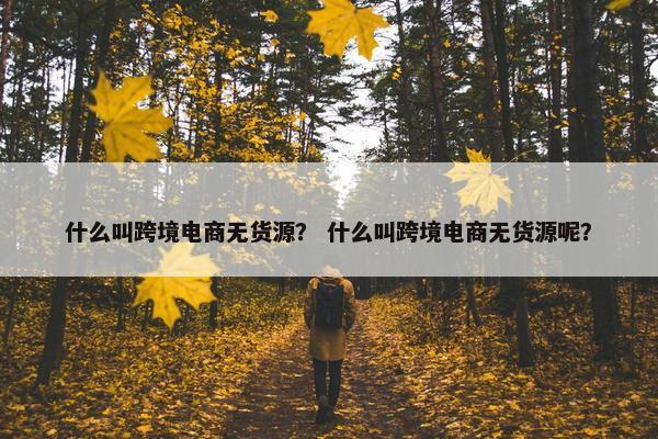 什么叫跨境电商无货源？ 什么叫跨境电商无货源呢？
