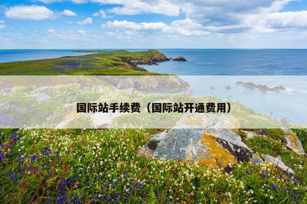 国际站手续费（国际站开通费用）