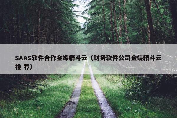 SAAS软件合作金蝶精斗云（财务软件公司金蝶精斗云推 荐）