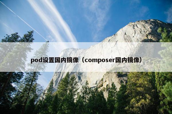 pod设置国内镜像（composer国内镜像）