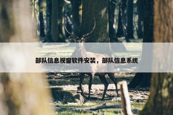 部队信息视窗软件安装，部队信息系统
