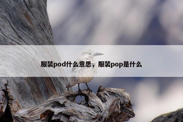 服装pod什么意思，服装pop是什么