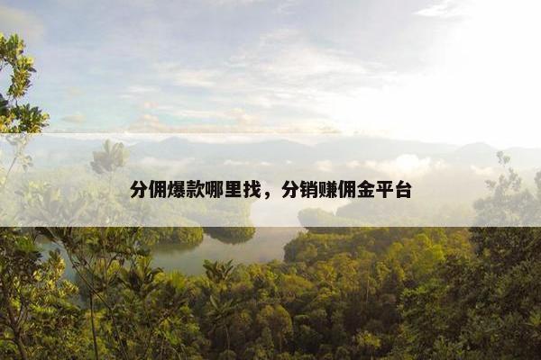 分佣爆款哪里找，分销赚佣金平台