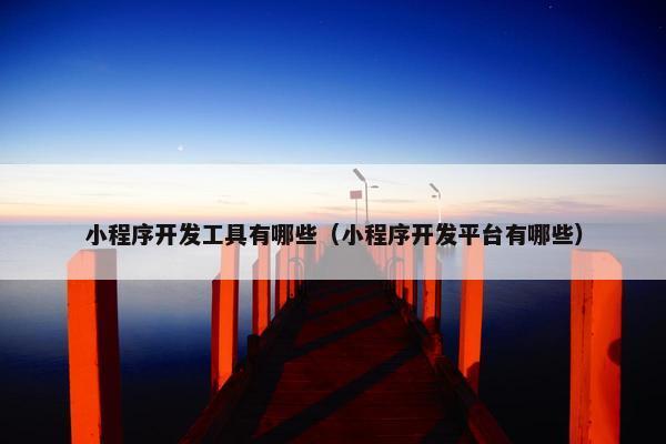 小程序开发工具有哪些（小程序开发平台有哪些）