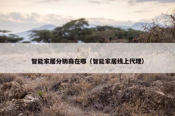 智能家居分销商在哪（智能家居线上代理）