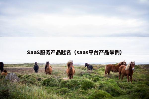 SaaS服务产品起名（saas平台产品举例）