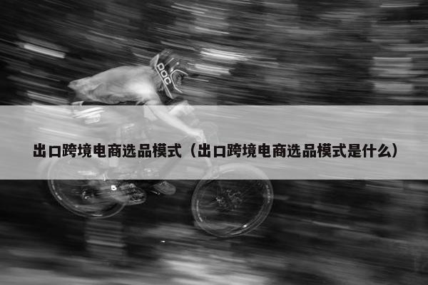 出口跨境电商选品模式（出口跨境电商选品模式是什么）