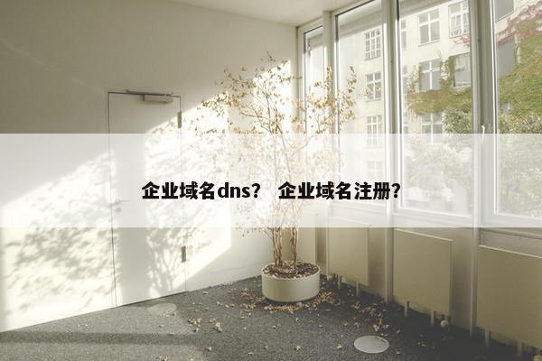 企业域名dns？ 企业域名注册？