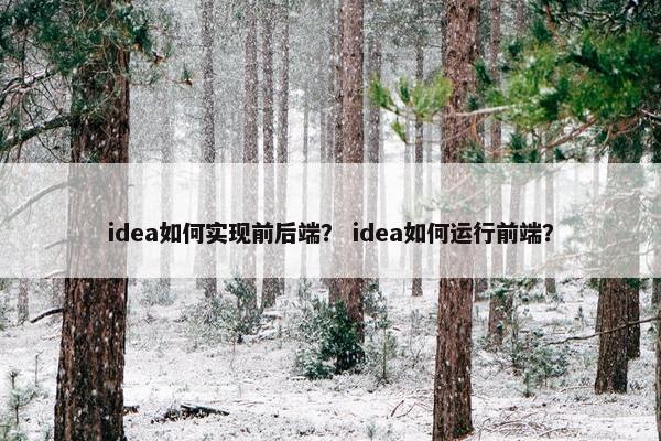 idea如何实现前后端？ idea如何运行前端？