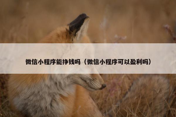 微信小程序能挣钱吗（微信小程序可以盈利吗）