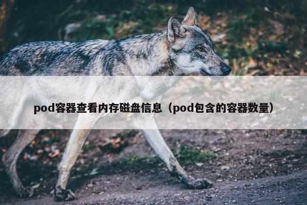 pod容器查看内存磁盘信息（pod包含的容器数量）